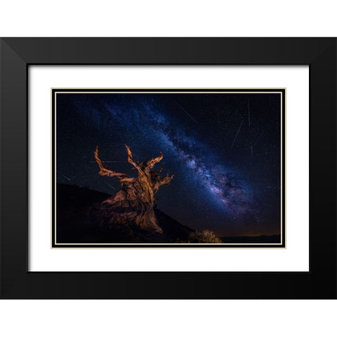Shooting Stars Night Black Modern Wood Framed Art Print with Double Matting by Zheng, Michael