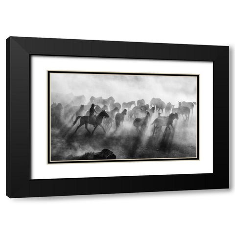 Wild Horses Black Modern Wood Framed Art Print with Double Matting by Bedir, Mehmet