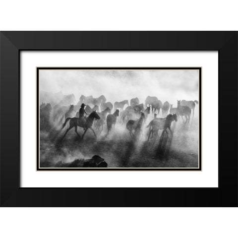 Wild Horses Black Modern Wood Framed Art Print with Double Matting by Bedir, Mehmet