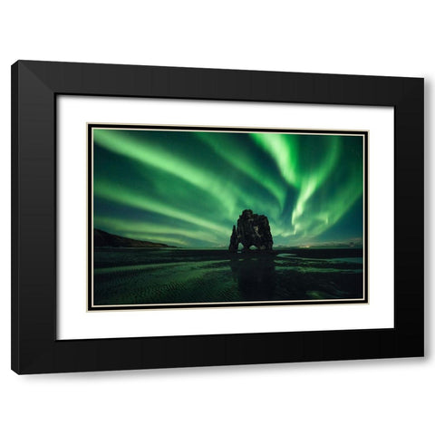 Rhino Black Modern Wood Framed Art Print with Double Matting by Martin Castan, David