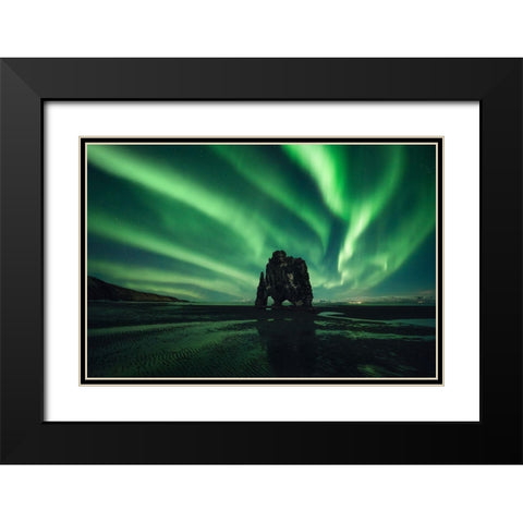 Rhino Black Modern Wood Framed Art Print with Double Matting by Martin Castan, David
