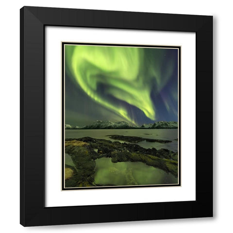 The Aliensaas Head Black Modern Wood Framed Art Print with Double Matting by Smid Master, Jan