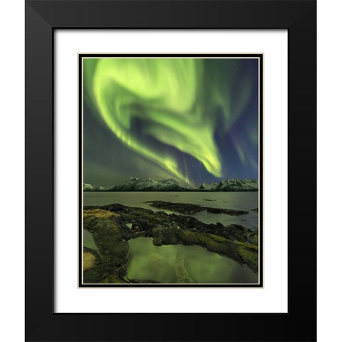 The Aliensaas Head Black Modern Wood Framed Art Print with Double Matting by Smid Master, Jan