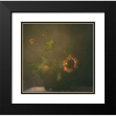 Tears Of Sunflower Black Modern Wood Framed Art Print with Double Matting by Devos, Delphine