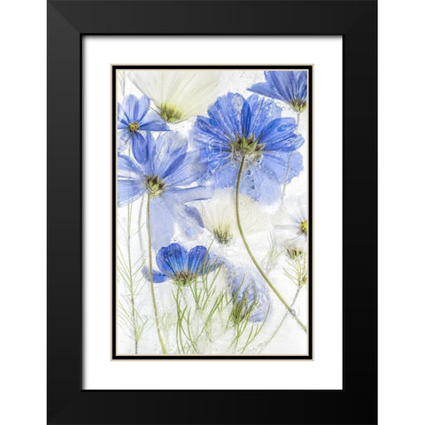 Cosmos Blue Black Modern Wood Framed Art Print with Double Matting by Disher, Mandy