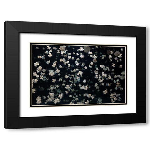 Just Some Jellies Black Modern Wood Framed Art Print with Double Matting by Graf, Sebastian
