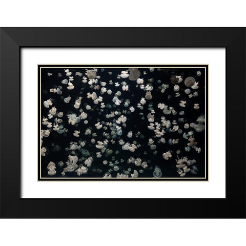 Just Some Jellies Black Modern Wood Framed Art Print with Double Matting by Graf, Sebastian