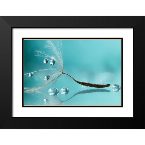 Water Black Modern Wood Framed Art Print with Double Matting by Barbieri, Rina