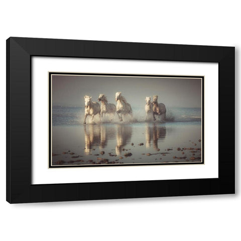Camargue Horses Black Modern Wood Framed Art Print with Double Matting by Anton, Rostovskiy