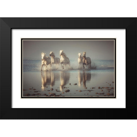 Camargue Horses Black Modern Wood Framed Art Print with Double Matting by Anton, Rostovskiy