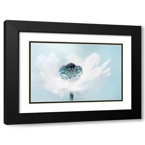 Candy Floss Black Modern Wood Framed Art Print with Double Matting by Parker, Jacky