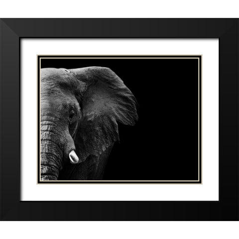 Elephant Black Modern Wood Framed Art Print with Double Matting by WildPhotoArt
