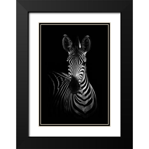 The Zebra Black Modern Wood Framed Art Print with Double Matting by WildPhotoArt