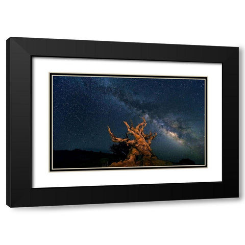 The Galaxy And Ancient Bristlecone Pine Black Modern Wood Framed Art Print with Double Matting by Hua
