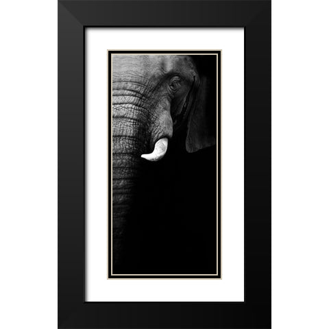 Elephant Portrait Black Modern Wood Framed Art Print with Double Matting by Wildphotoart
