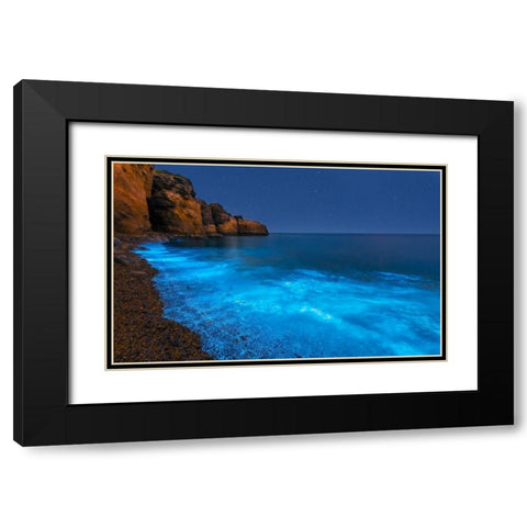 Bioluminescent Bay Black Modern Wood Framed Art Print with Double Matting by Zhu, Hua