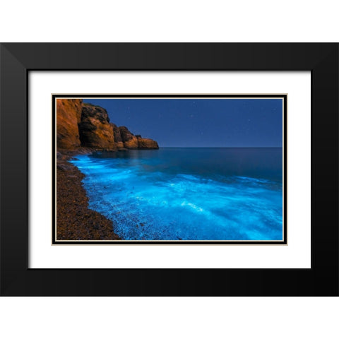 Bioluminescent Bay Black Modern Wood Framed Art Print with Double Matting by Zhu, Hua