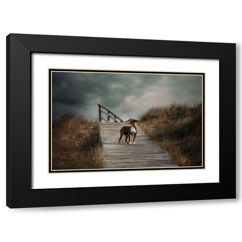 The Summer Wind Came Blowin In From Across The Seaa?B. (Frank Sinatra) Black Modern Wood Framed Art Print with Double Matting by Willers, Heike
