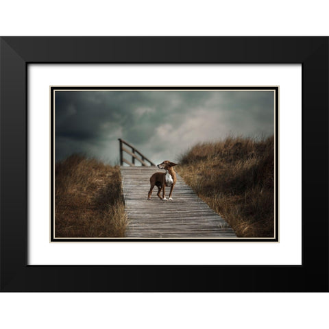 The Summer Wind Came Blowin In From Across The Seaa?B. (Frank Sinatra) Black Modern Wood Framed Art Print with Double Matting by Willers, Heike