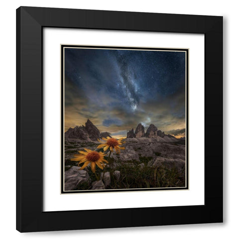 Even The Flowers Seem To Be Fascinated By The Stars Black Modern Wood Framed Art Print with Double Matting by Ghizzi Panizza, Alberto