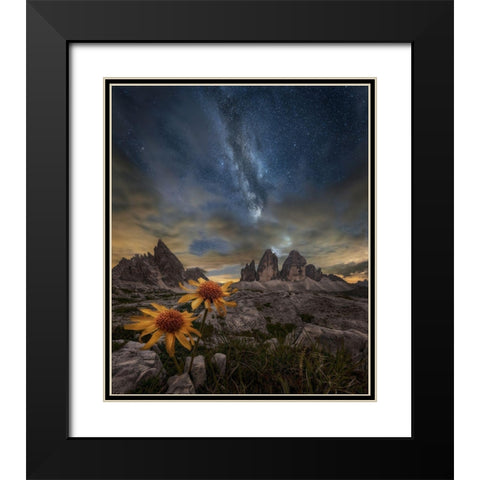 Even The Flowers Seem To Be Fascinated By The Stars Black Modern Wood Framed Art Print with Double Matting by Ghizzi Panizza, Alberto