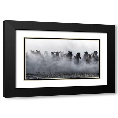 Mustangs Black Modern Wood Framed Art Print with Double Matting by Pancareken, Yavuz