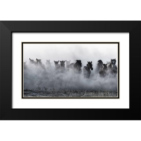Mustangs Black Modern Wood Framed Art Print with Double Matting by Pancareken, Yavuz