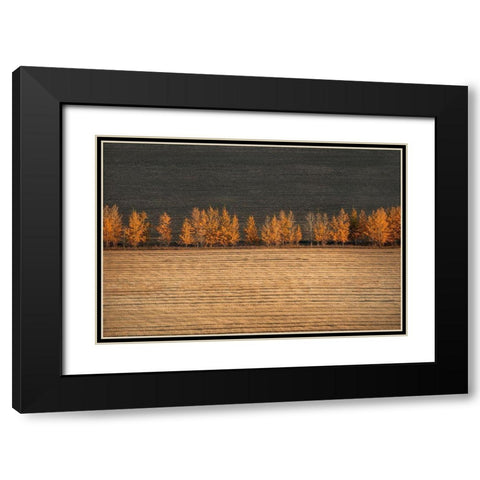 Autumn Colors Black Modern Wood Framed Art Print with Double Matting by Tianqi