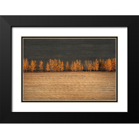Autumn Colors Black Modern Wood Framed Art Print with Double Matting by Tianqi