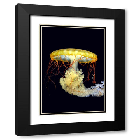*** Black Modern Wood Framed Art Print with Double Matting by Fyb