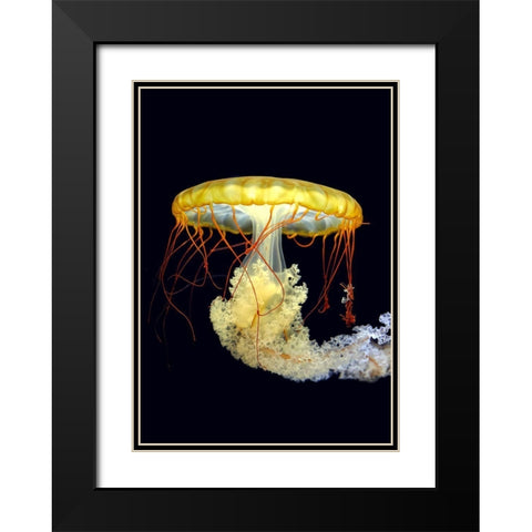 *** Black Modern Wood Framed Art Print with Double Matting by Fyb
