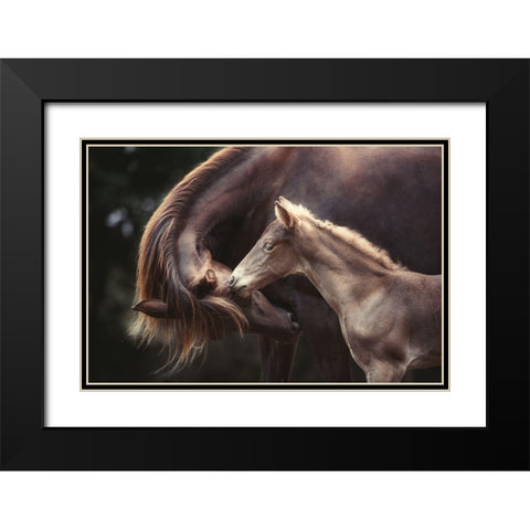 The Bond Black Modern Wood Framed Art Print with Double Matting by Willers, Heike
