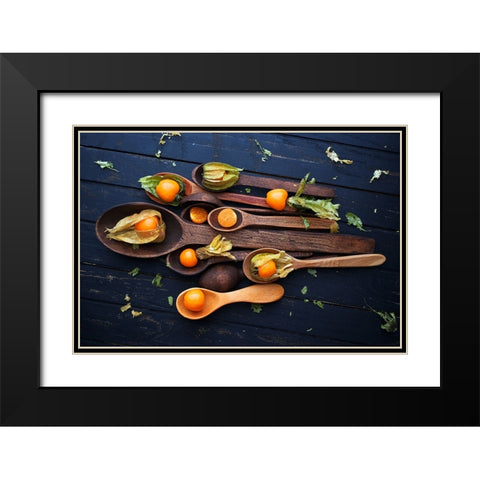 Spoonsaphysalis Black Modern Wood Framed Art Print with Double Matting by Karina, Aleksandrova