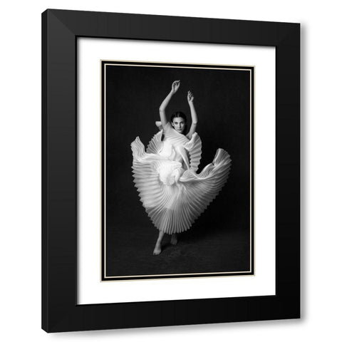 Swan Lake Black Modern Wood Framed Art Print with Double Matting by Naderi, Peyman