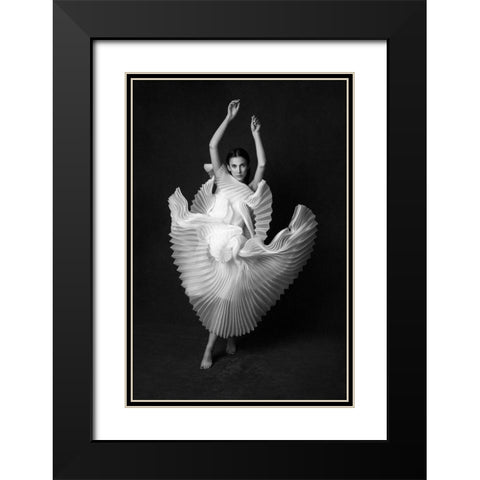 Swan Lake Black Modern Wood Framed Art Print with Double Matting by Naderi, Peyman