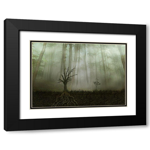 Root 1 Black Modern Wood Framed Art Print with Double Matting by Golchin, Aryana