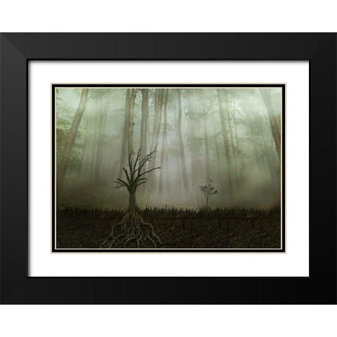 Root 1 Black Modern Wood Framed Art Print with Double Matting by Golchin, Aryana