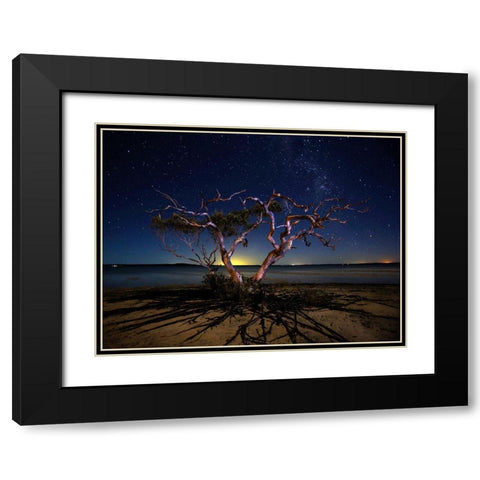 The Tree Black Modern Wood Framed Art Print with Double Matting by Brackstone, Mel