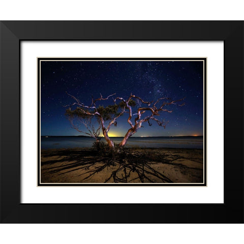 The Tree Black Modern Wood Framed Art Print with Double Matting by Brackstone, Mel
