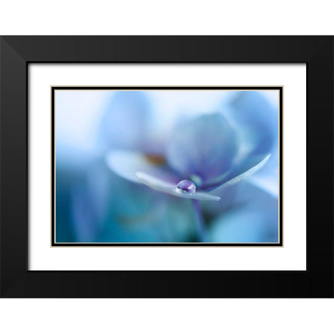 Reflection Black Modern Wood Framed Art Print with Double Matting by Van Deelen, Ellen