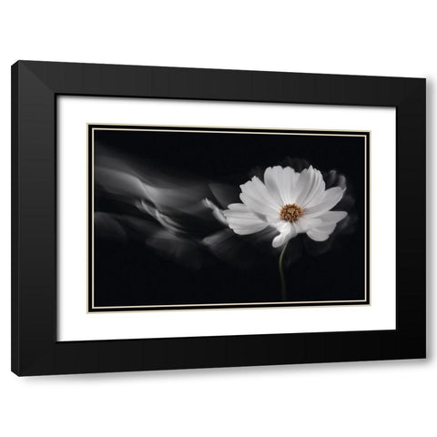 Symphony White Black Modern Wood Framed Art Print with Double Matting by Karpova, Inna