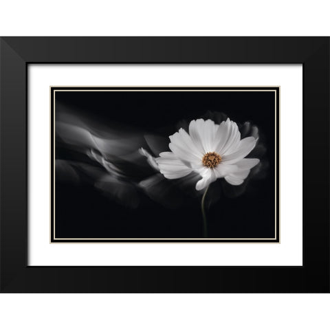 Symphony White Black Modern Wood Framed Art Print with Double Matting by Karpova, Inna
