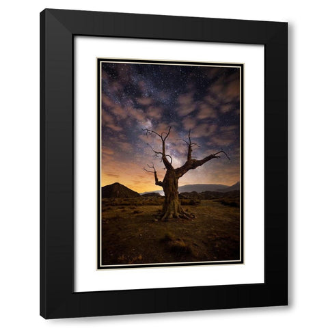 Lonely Black Modern Wood Framed Art Print with Double Matting by Ionut Dascalu, Andrei