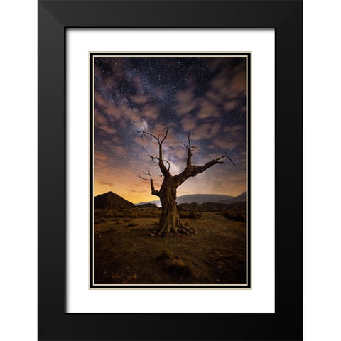 Lonely Black Modern Wood Framed Art Print with Double Matting by Ionut Dascalu, Andrei