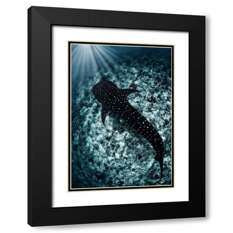 Ocean Line Black Modern Wood Framed Art Print with Double Matting by Narchuk, Andrey