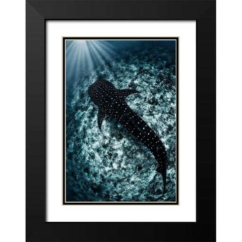 Ocean Line Black Modern Wood Framed Art Print with Double Matting by Narchuk, Andrey