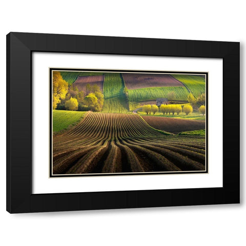 Shape Black Modern Wood Framed Art Print with Double Matting by Nienartowicz, Karol