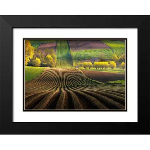 Shape Black Modern Wood Framed Art Print with Double Matting by Nienartowicz, Karol