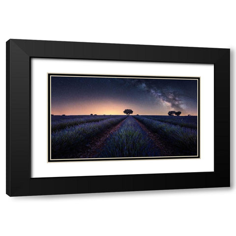 Lavender Fields Black Modern Wood Framed Art Print with Double Matting by Ruiz Dueso, Jorge