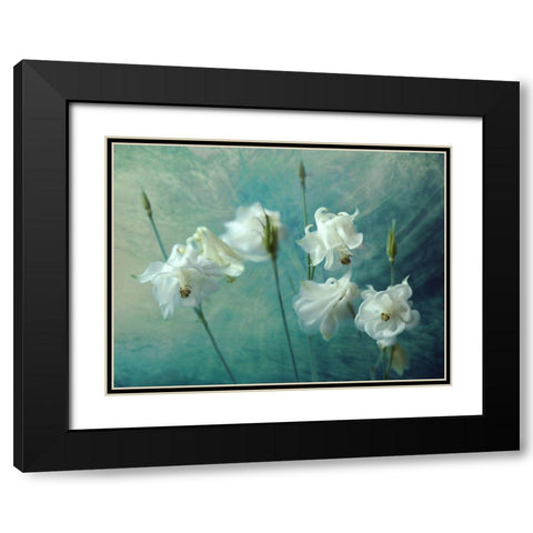 Crowns Of Thorns Black Modern Wood Framed Art Print with Double Matting by Kreiten, Mike